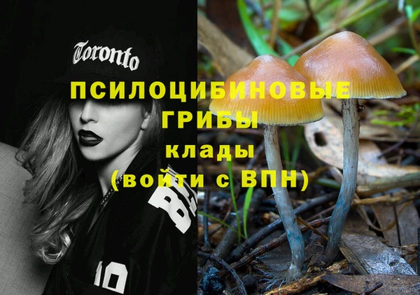таблы Козельск
