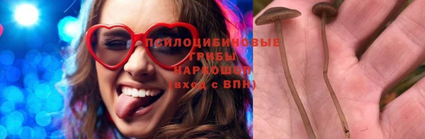 таблы Козельск